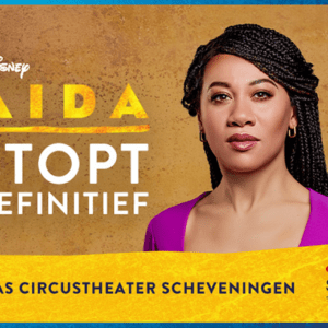 Premium, 1e of 2e rang ticket de musical Disney's AIDA