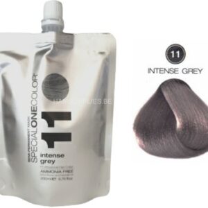 SPECIAL ONE COLOR MASK 200ML 11 INTENSE GREY