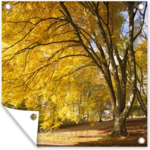 Tuin poster Gele bladeren in de bossen van het Engelse Nationaal park New Forest - 200x200 cm - Tuindoek - Buitenposter