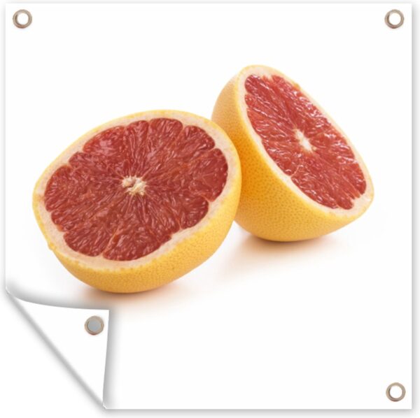 Tuin poster Rode grapefruit tegen witte achtergrond - 200x200 cm - Tuindoek - Buitenposter