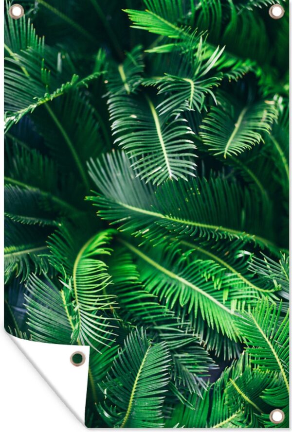 Tuindecoratie Close-up van groene sagopalm bladeren - 40x60 cm - Tuinposter - Tuindoek - Buitenposter