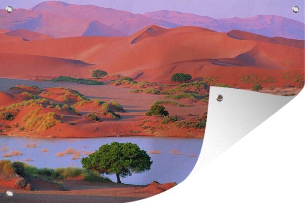 Tuindecoratie De Namib-woestijn in Afrikaans Namibië - 60x40 cm - Tuinposter - Tuindoek - Buitenposter