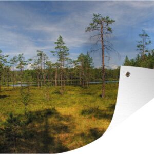 Tuindecoratie Hoge bomen op de heide in het Nationaal park Skuleskogen in Zweden - 60x40 cm - Tuinposter - Tuindoek - Buitenposter