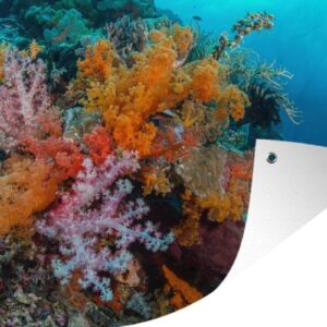 Tuindecoratie Kleurrijk zacht koraal in het Maritiempark Wakatobi in Indonesië - 60x40 cm - Tuinposter - Tuindoek - Buitenposter