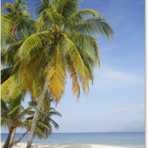 Tuindecoratie Verlaten strand bij de San Blas-eilanden in Panama - 40x60 cm - Tuinposter - Tuindoek - Buitenposter