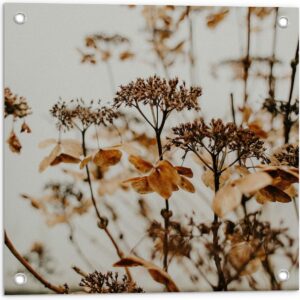 Tuinposter - Bruine Bloemen en Planten met Grijze Achtergrond - 50x50 cm Foto op Tuinposter (wanddecoratie voor buiten en binnen)