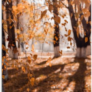 Tuinposter - Herfstbladeren aan Tak Hangend in Bos met Zonnestralen - 60x90 cm Foto op Tuinposter (wanddecoratie voor buiten en binnen)