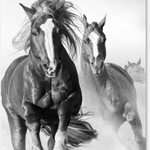 Tuinposter Paarden - Dieren - Illustratie - 30x60 cm - Tuindoek - Buitenposter