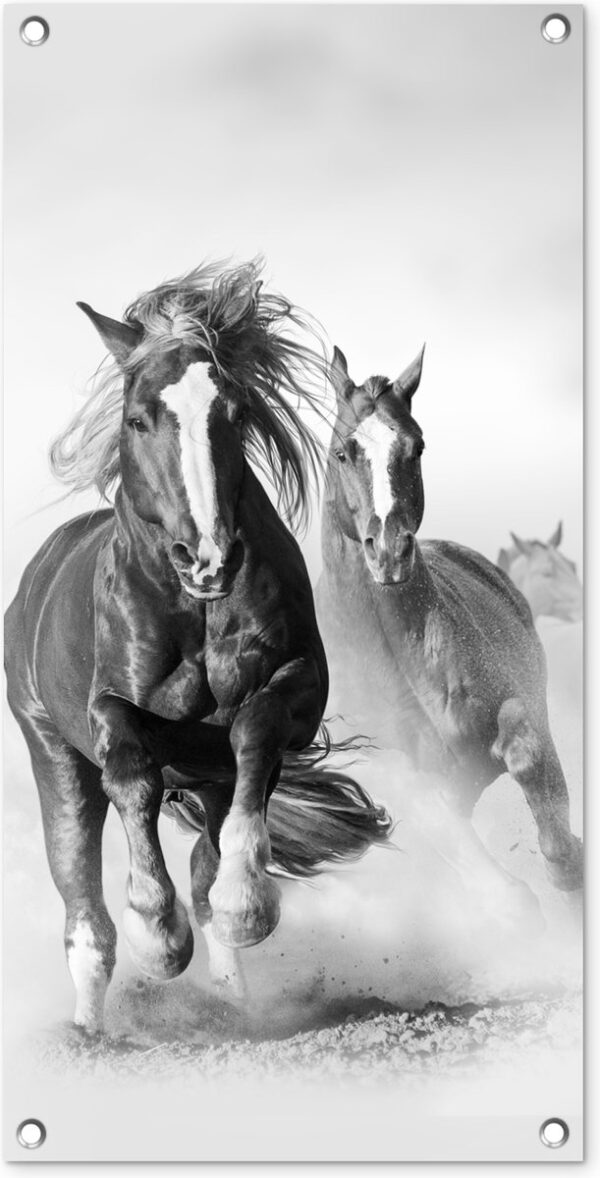Tuinposter Paarden - Dieren - Illustratie - 40x80 cm - Wanddecoratie Buiten - Tuinposter - Tuindoek - Schuttingposter - Tuinschilderij