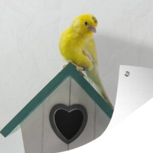 Tuinposter - Tuindoek - Tuinposters buiten - Een gele kanarie op een huisje voor vogels - 120x80 cm - Tuin