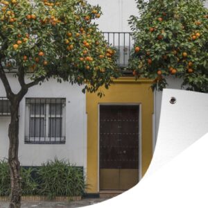 Tuinposter - Tuindoek - Tuinposters buiten - Kleurrijke deur in het Spaanse Santa Cruz - 120x80 cm - Tuin