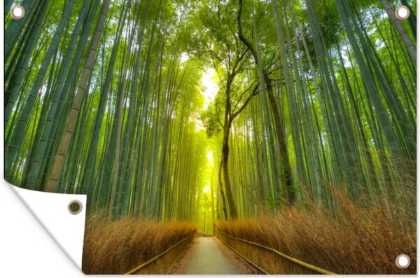 Tuinposter - Tuindoek - Tuinposters buiten - Pad in het Arashiyama-bamboebos in Japan - 120x80 cm - Tuin