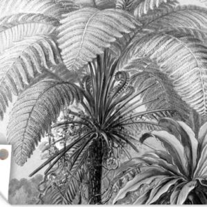 Tuinposter - Tuindoek - Tuinposters buiten - Planten - Zwart wit - Design - Illustratie - Botanisch - 120x80 cm - Tuin