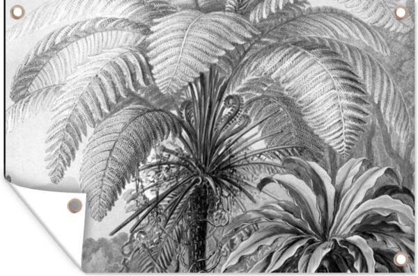 Tuinposter - Tuindoek - Tuinposters buiten - Planten - Zwart wit - Design - Illustratie - Botanisch - 120x80 cm - Tuin