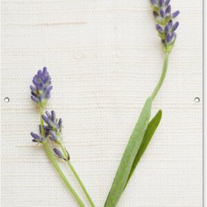 Tuinposter - Tuindoek - Tuinposters buiten - Studio shot van lavendel - 80x120 cm - Tuin