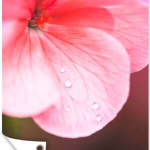 Tuinposter - Tuindoek - Tuinposters buiten - Waterdruppels op de roze geranium - 80x120 cm - Tuin