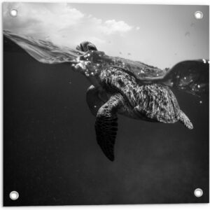 Tuinposter - Zeeschildpad aan het Wateroppervlak (Zwart- wit) - 50x50 cm Foto op Tuinposter (wanddecoratie voor buiten en binnen)