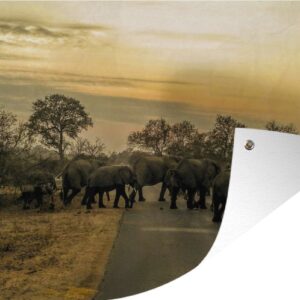 Tuinposters buiten Olifanten die de weg kruisen in het Nationale Park van Kruger Zuid-Afrika - 90x60 cm - Tuindoek - Buitenposter