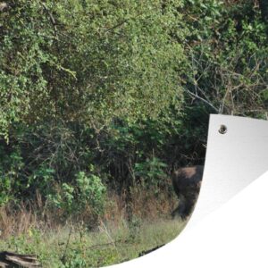 Tuinposters buiten Wilde herten bevinden zich in het landschap van het Nationaal Park Baluran - 90x60 cm - Tuindoek - Buitenposter