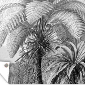 Tuinschilderij Planten - Zwart wit - Design - Illustratie - Botanisch - 80x60 cm - Tuinposter - Tuindoek - Buitenposter