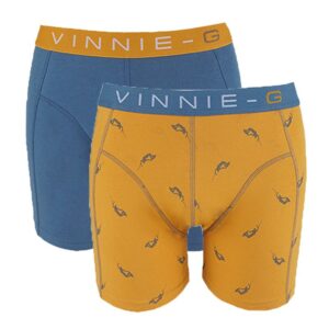 Vinnie-G boxershorts Wakeboard Blue - Print 2-Pack-L