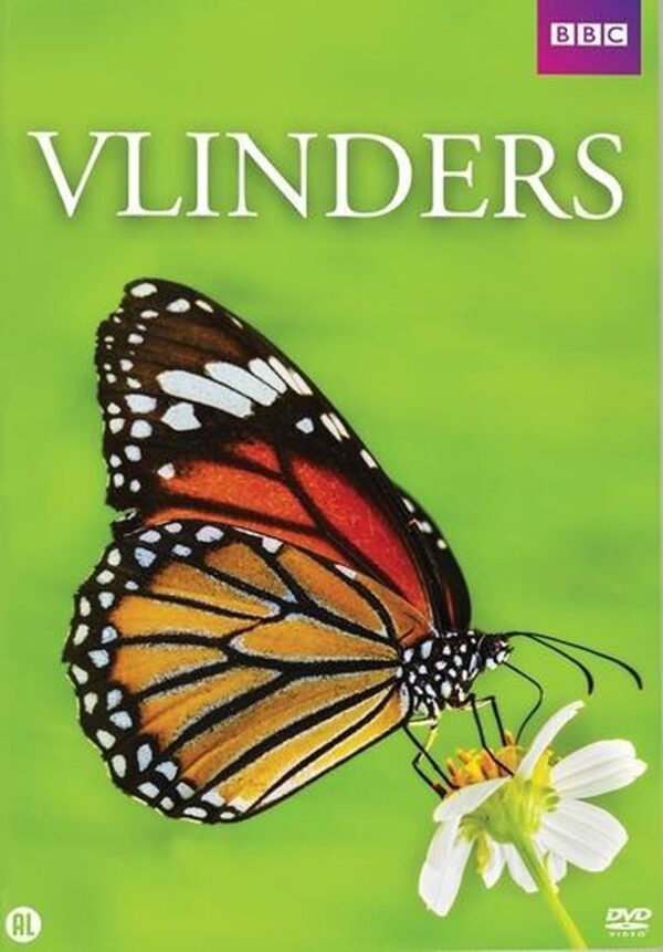 Vlinders