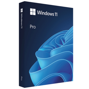 Windows 11 Pro incl. Trainingen