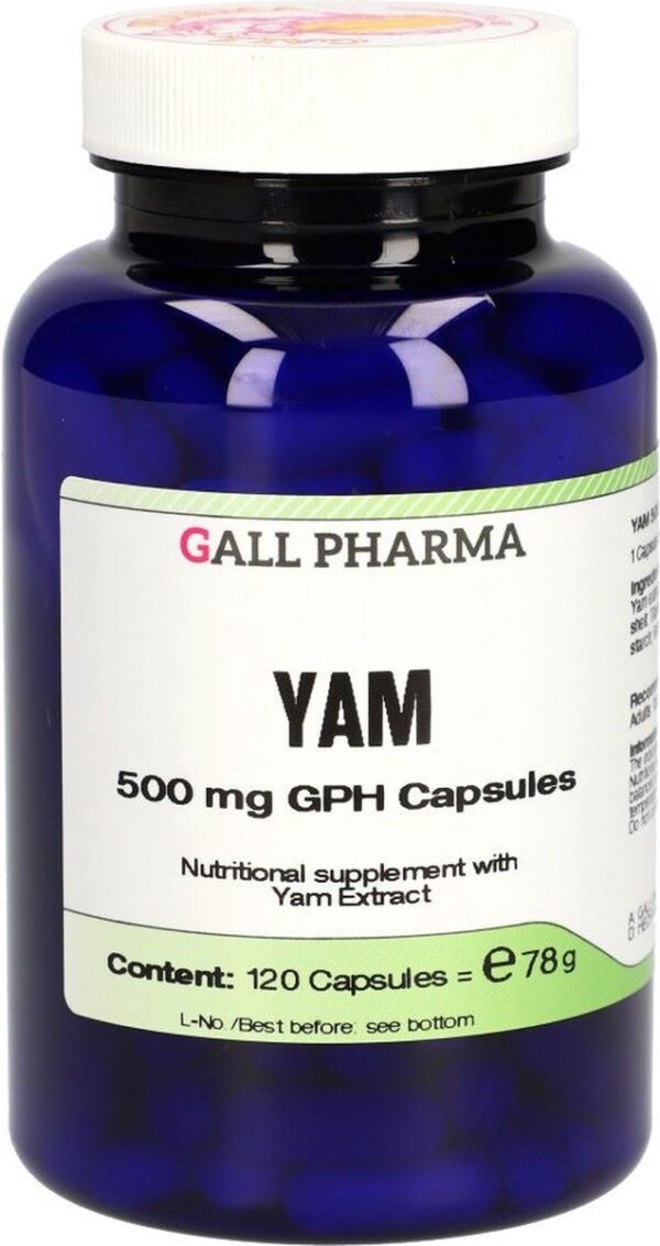 YAM 500 MG GPH (120 CAPSULES) - GALL PHARMA GMBH